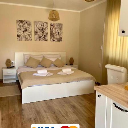 Airport Apartments Alexandra Surčin Zewnętrze zdjęcie